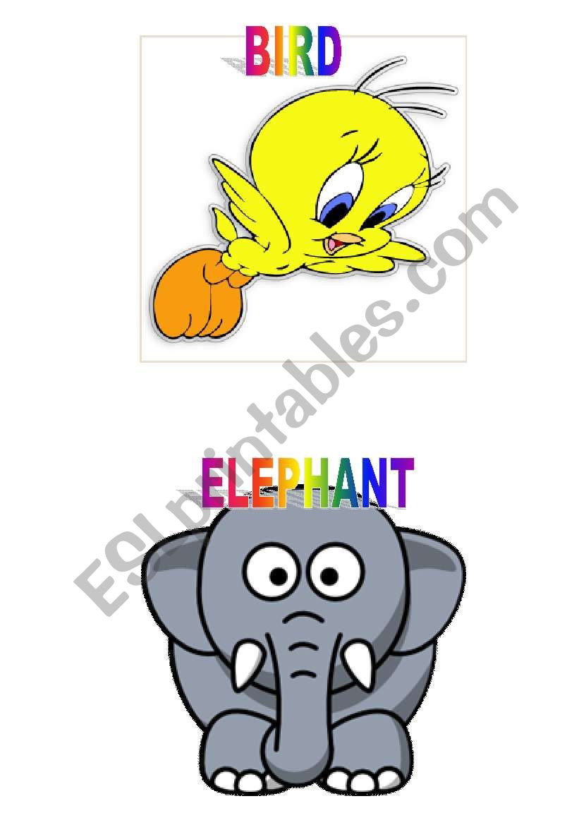 animal flashcards (a bird, an elephant)