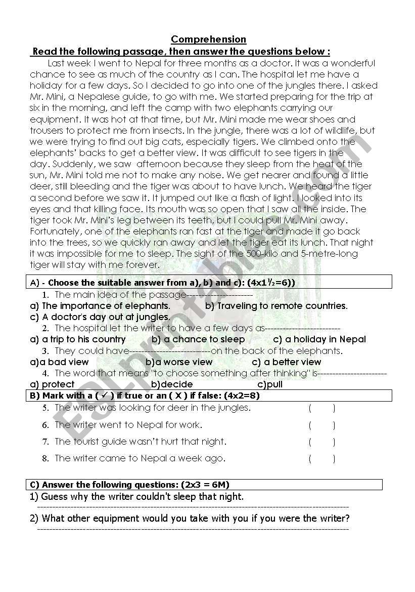 reading comprehension worksheet