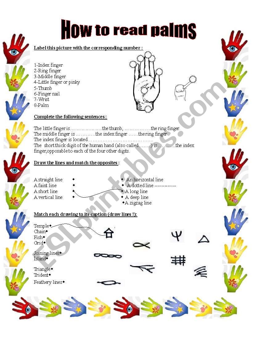 How to read palms... worksheet