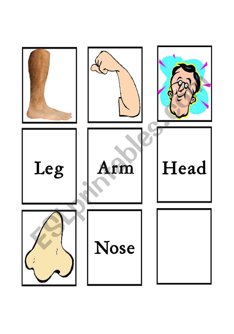 Body parts matching 2 worksheet