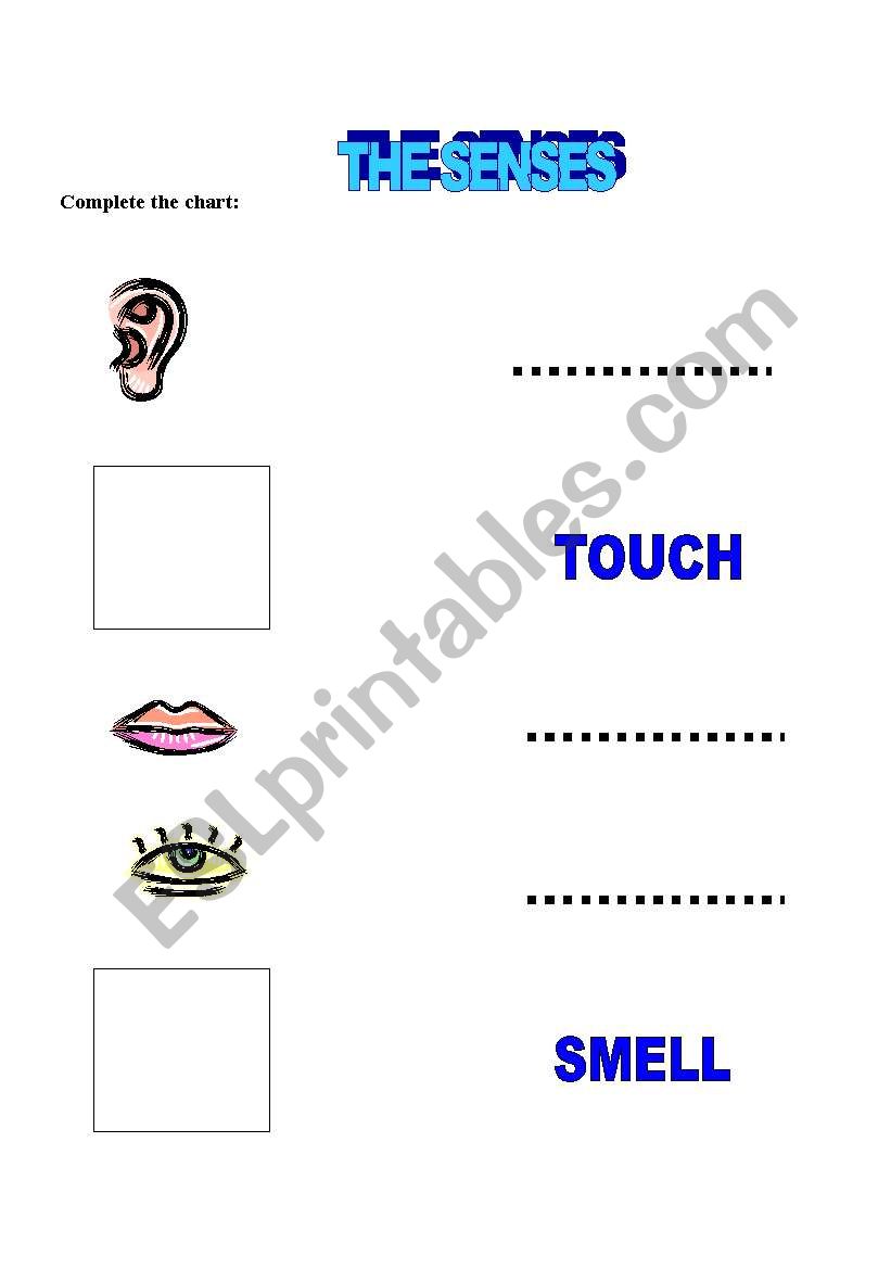 Lets remember the senses!! worksheet