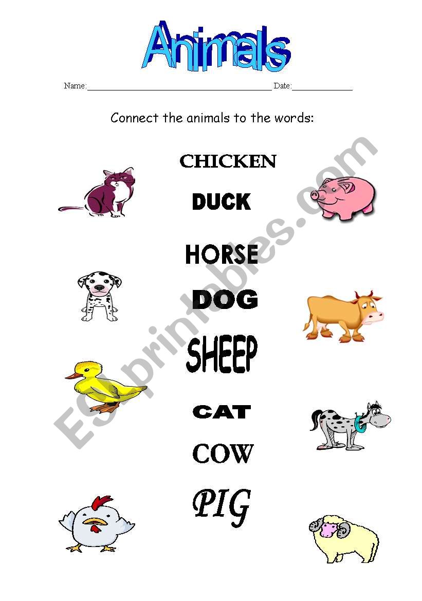 Connect exercise-animals worksheet