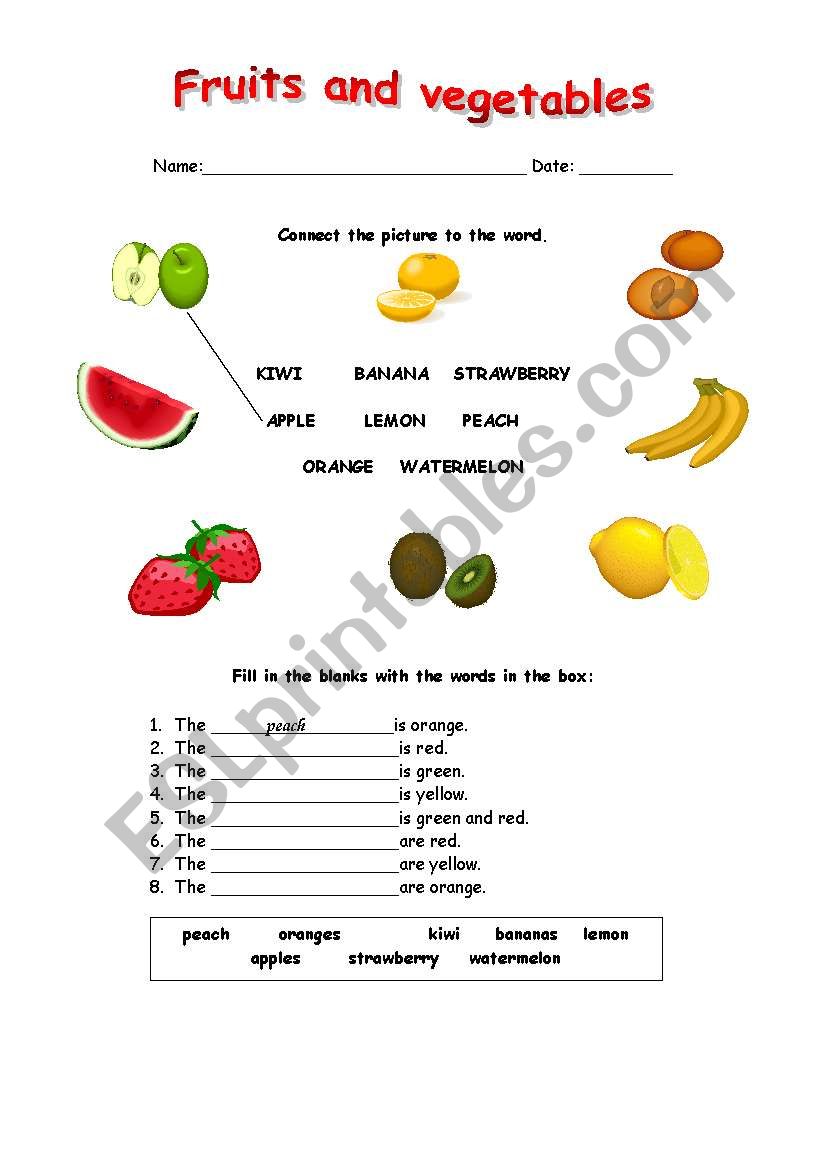 fruit worksheet