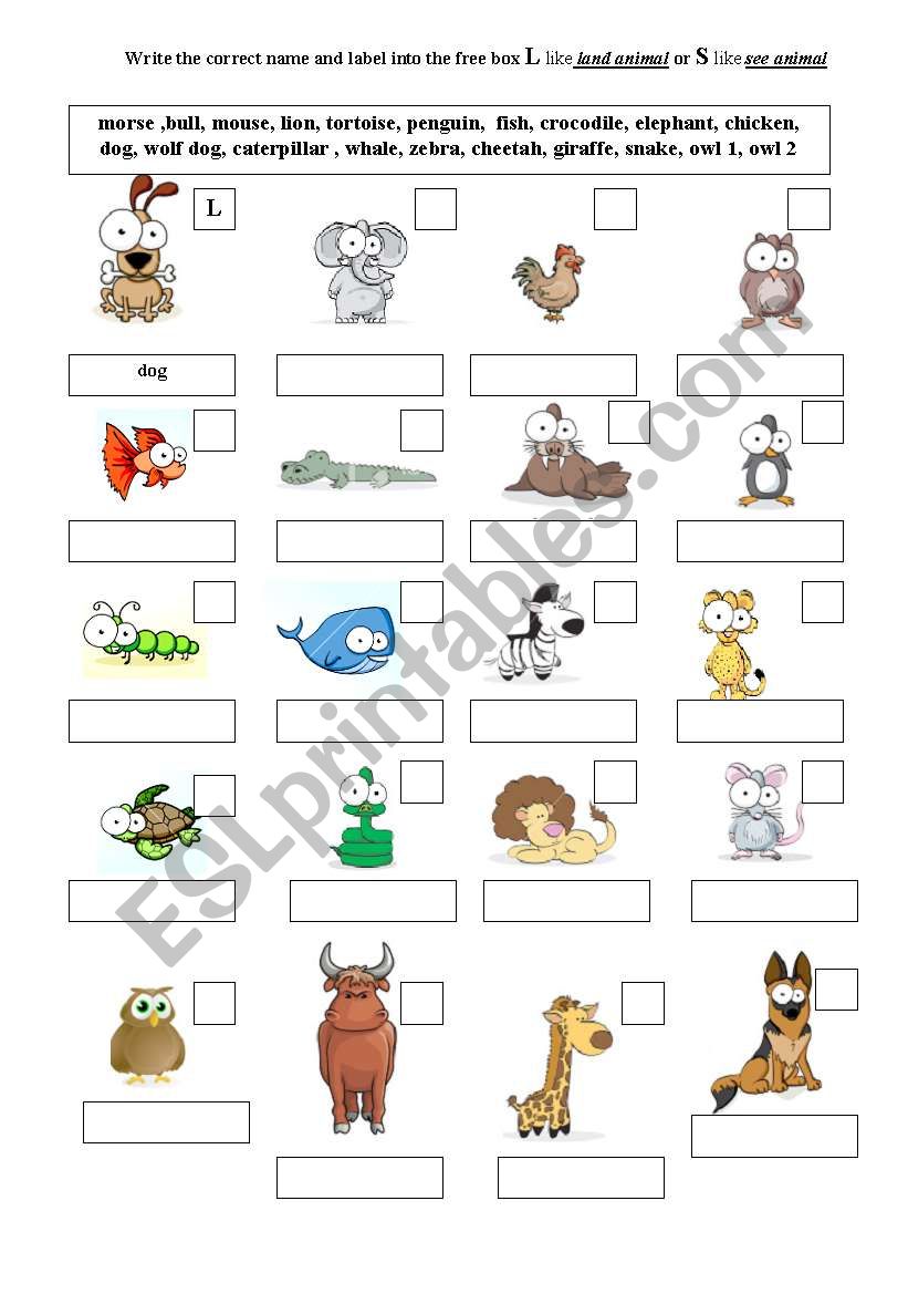 animals part 1 worksheet