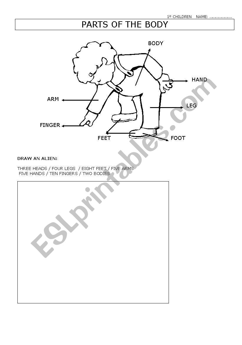 body parts  worksheet