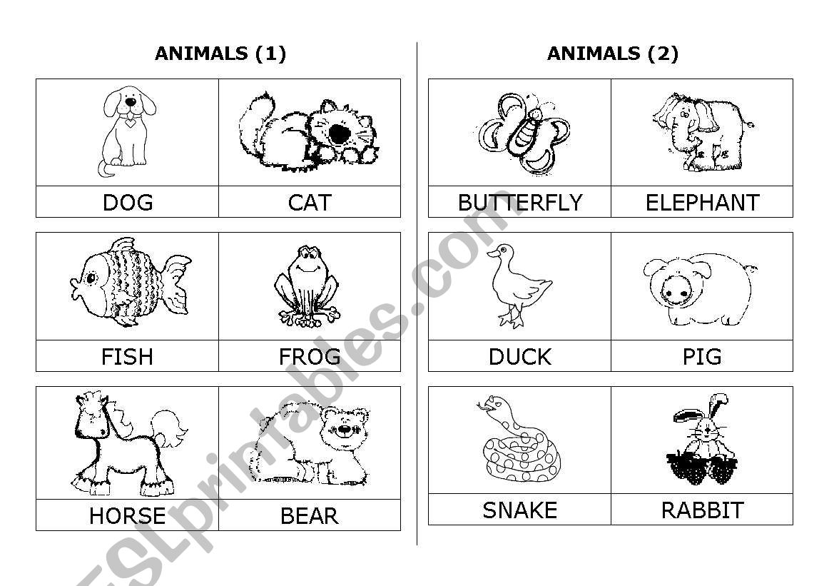 animals worksheet