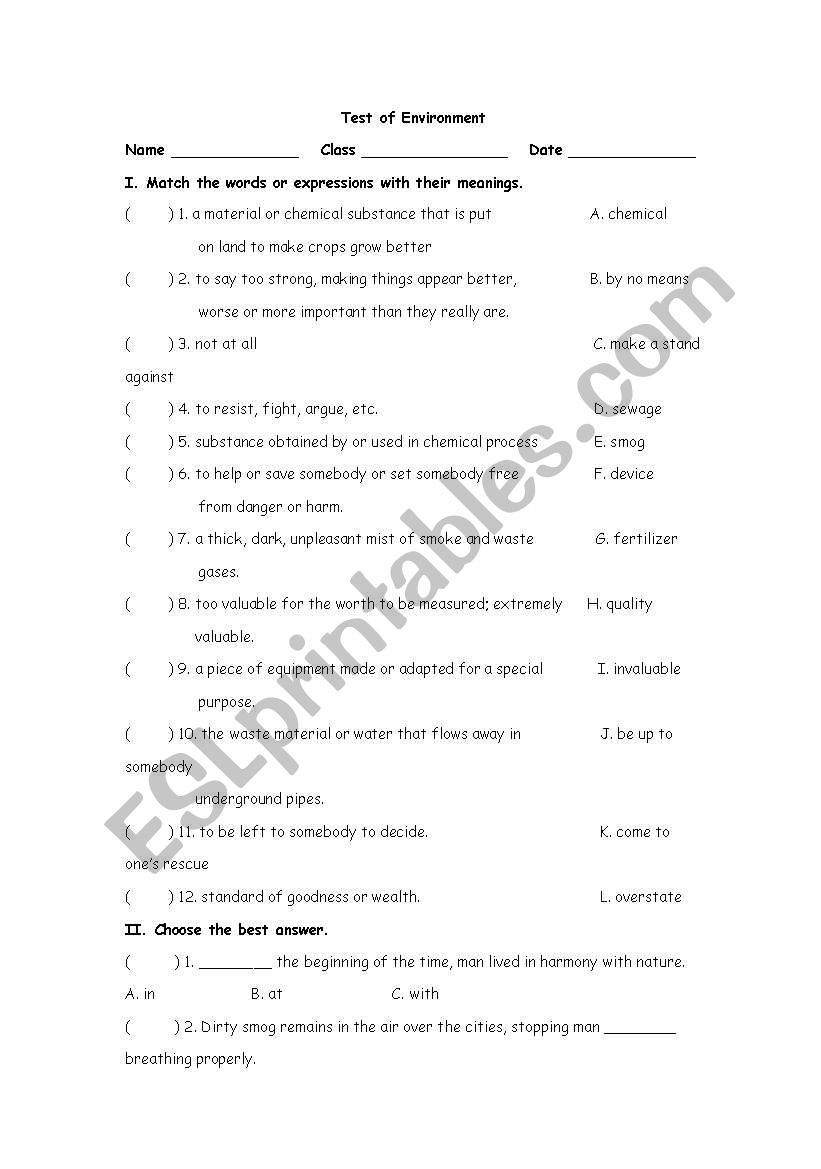 environment worksheet