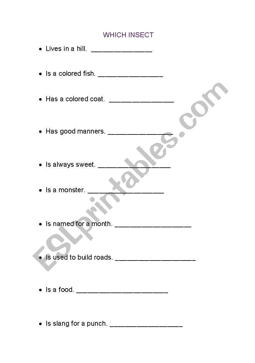 Bugs worksheet