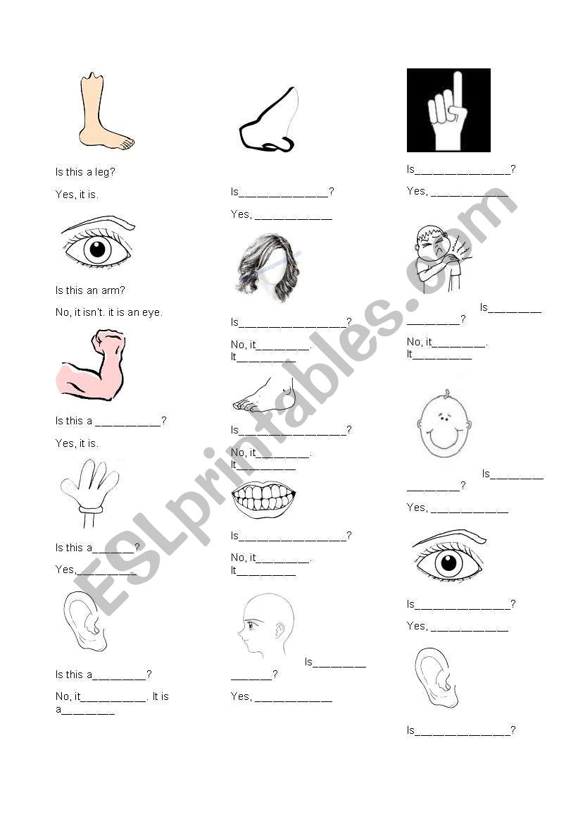Body parts worksheet