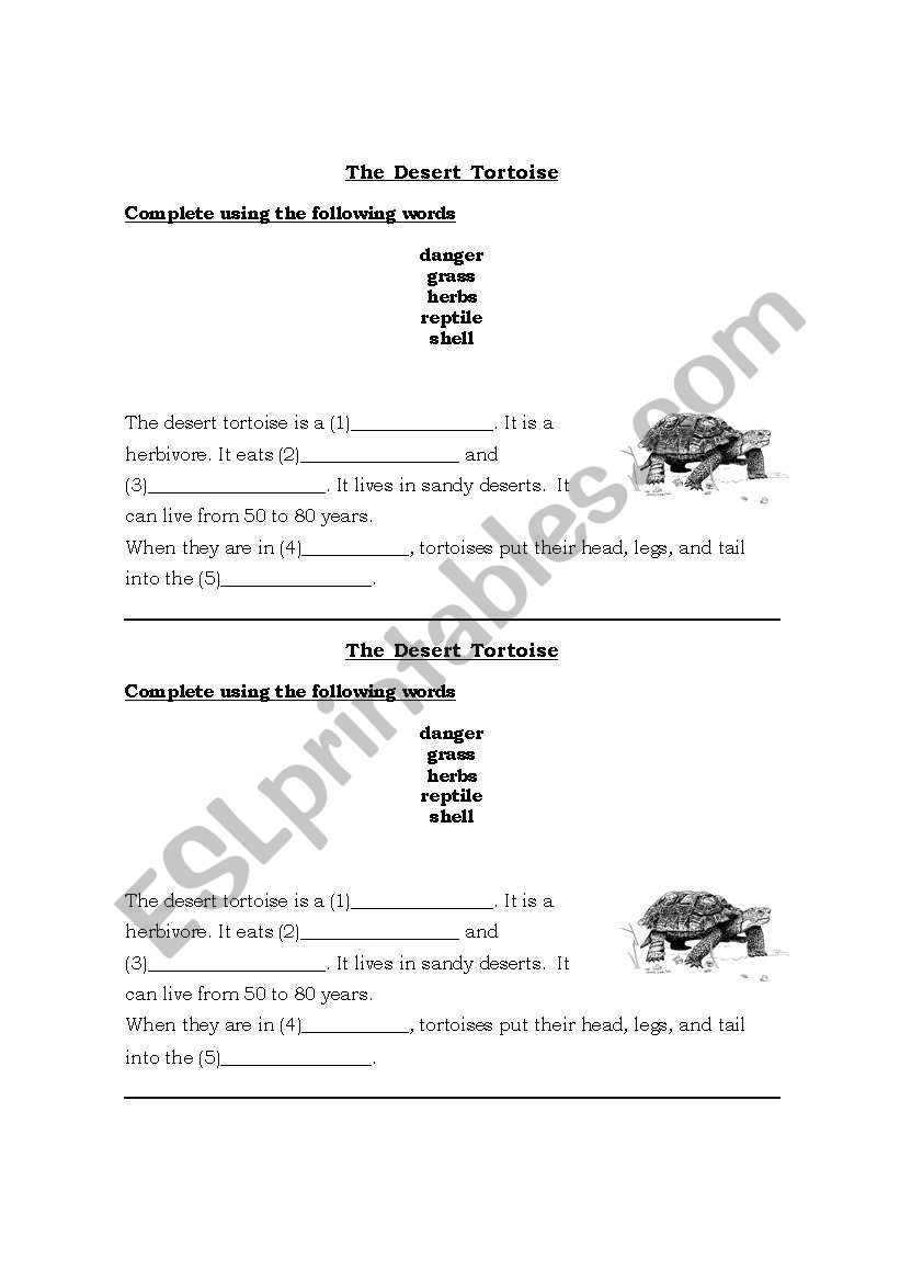 The Desert Tortoise worksheet