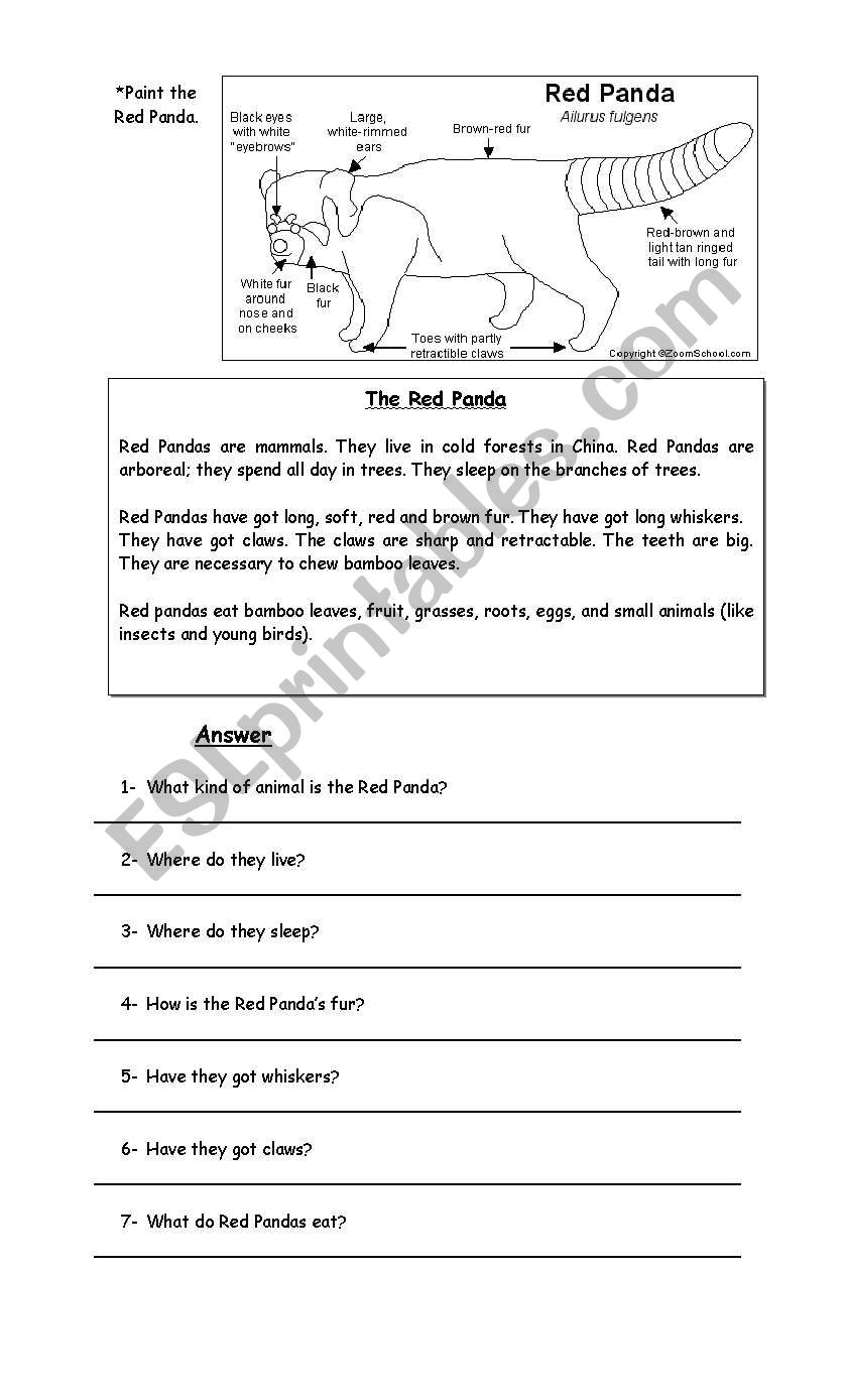 The Red Panda worksheet