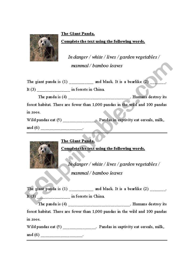 The Giant Panda. worksheet