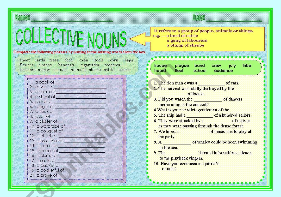 collective nouns worksheet