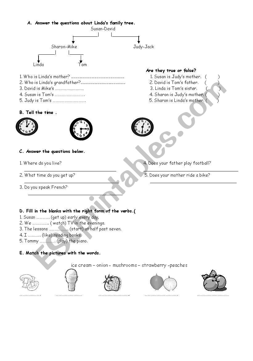 a quiz for the beginners worksheet