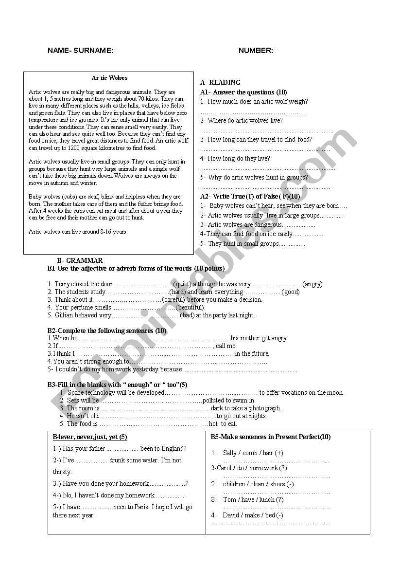 exam worksheet