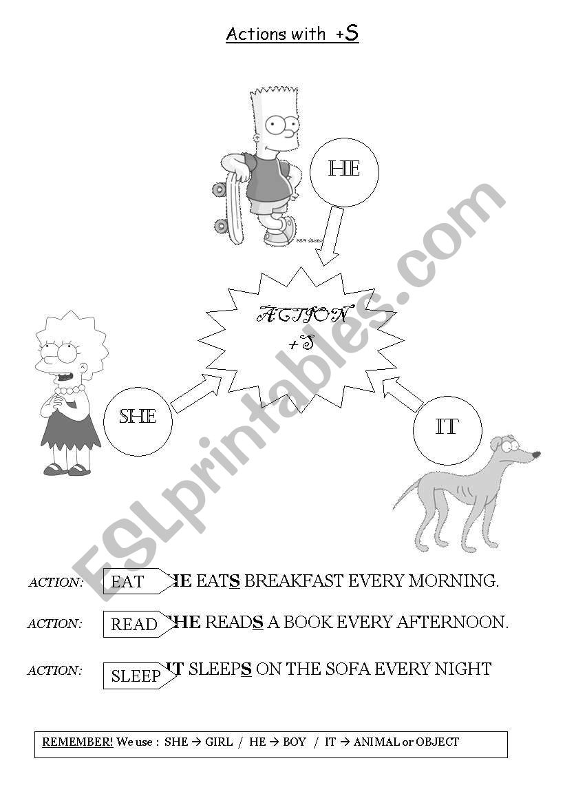 Present Simple - 3rd person  worksheet