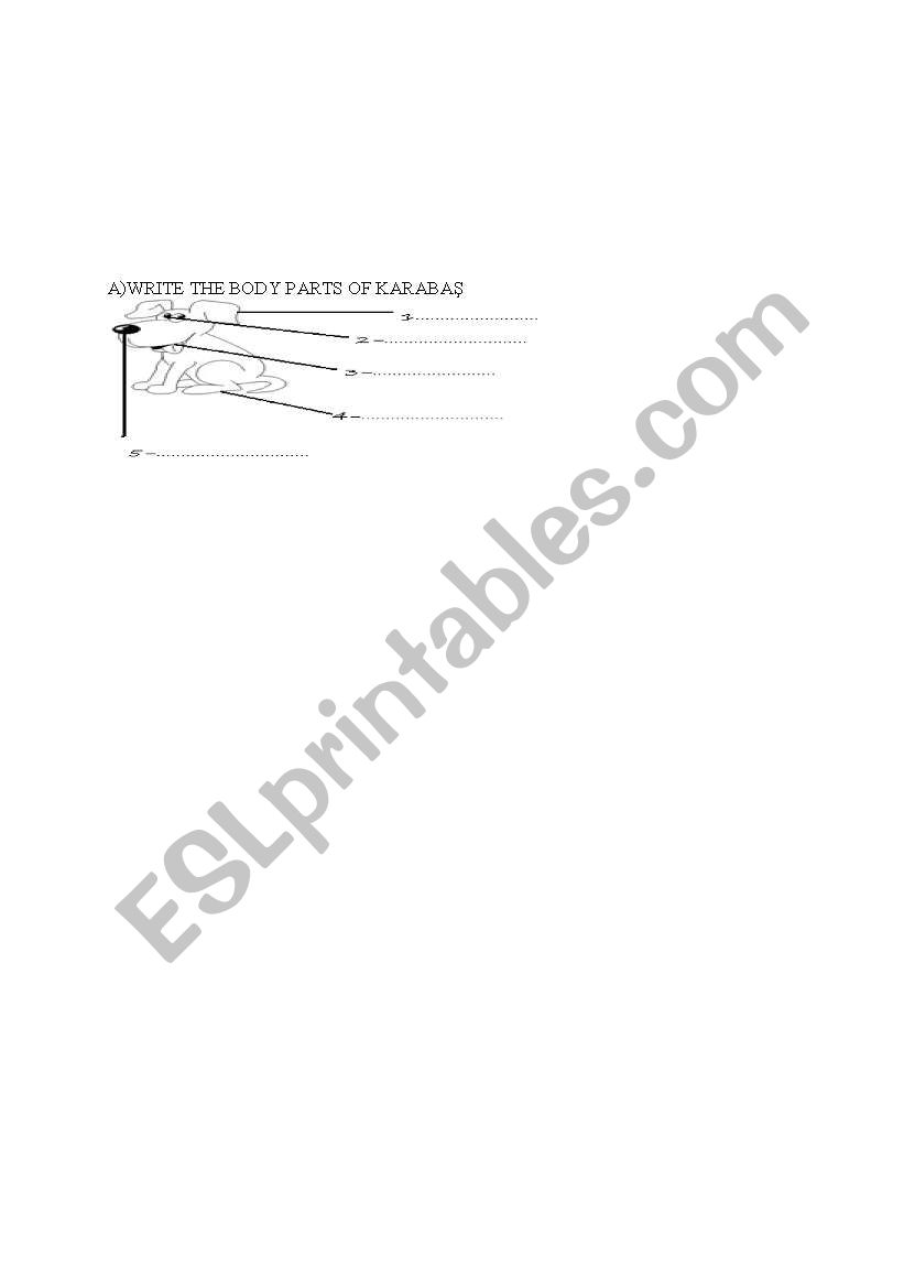 body parts worksheet