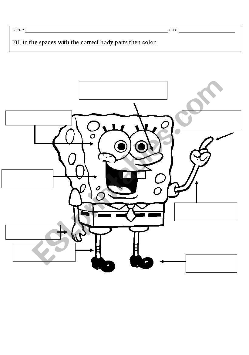 sponge bob body worksheet