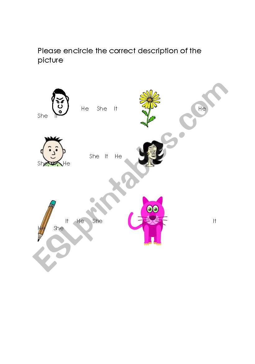 She He & It Worksheet worksheet
