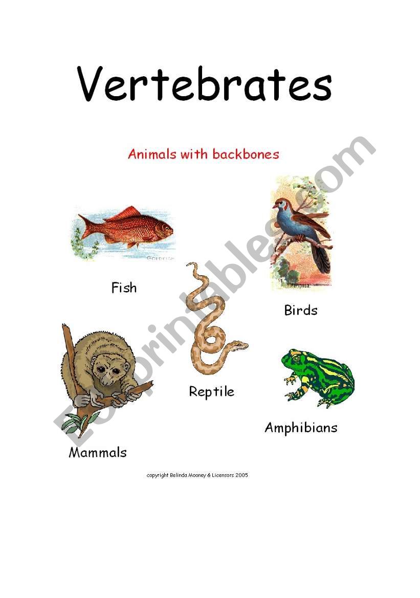 Vertebrates Cover Sheet worksheet