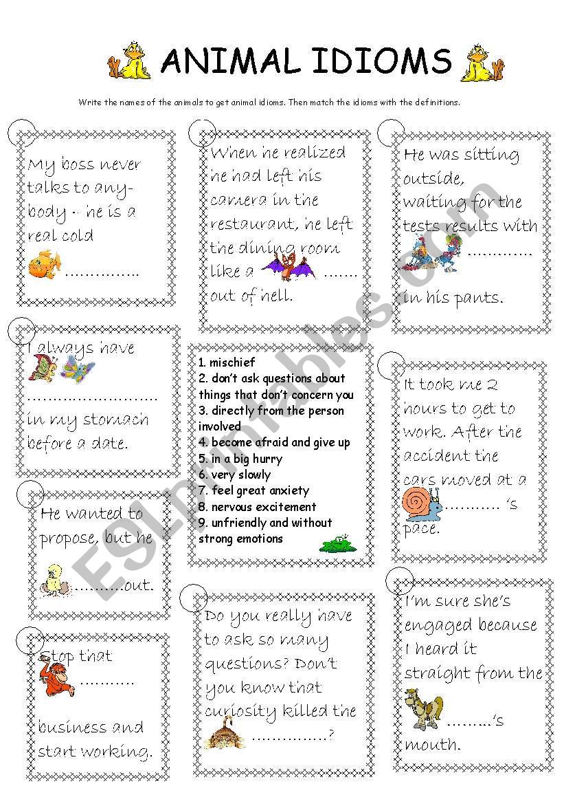 Animals idioms worksheet