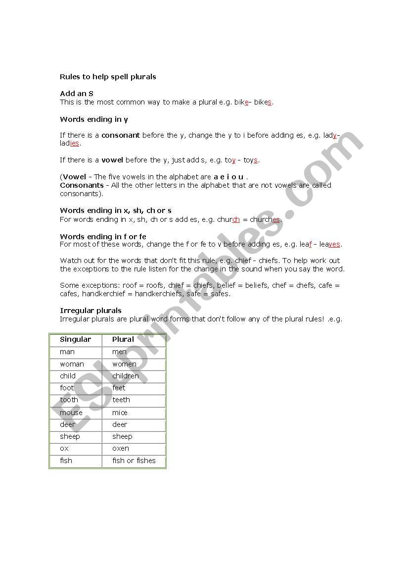Rules to spell plurals worksheet