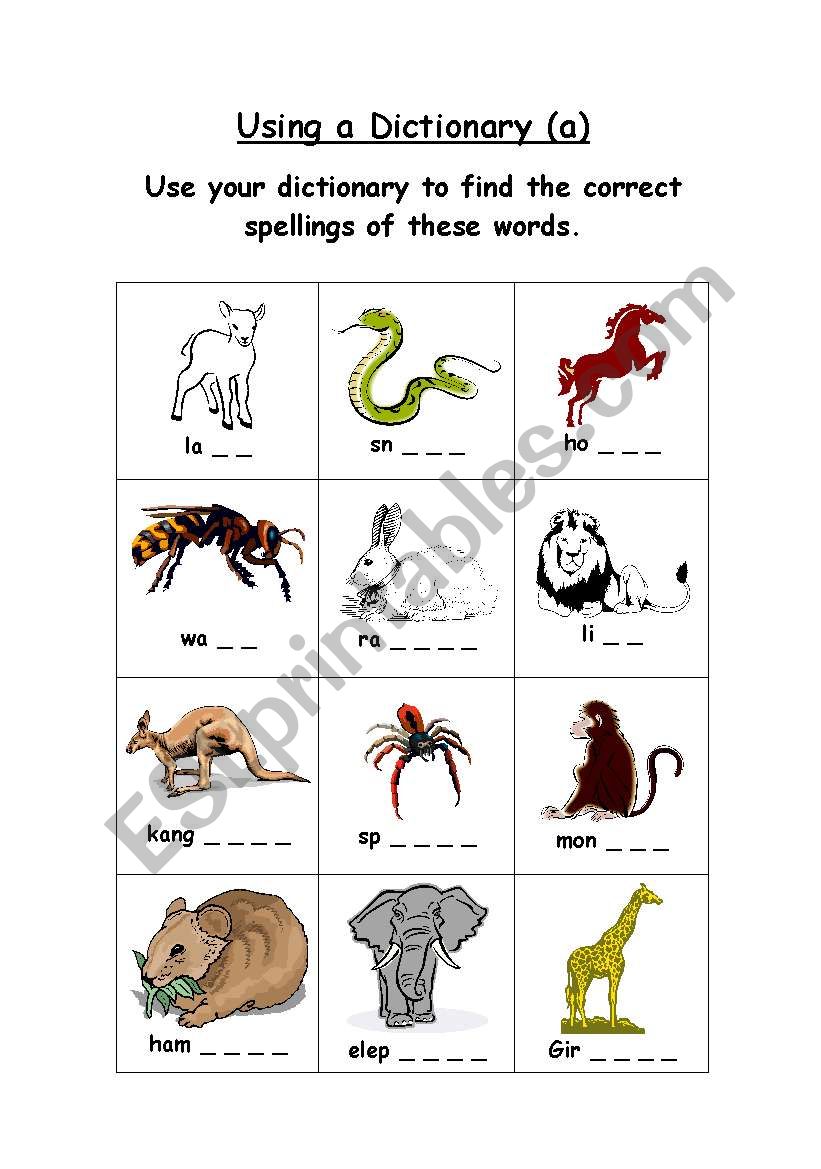 animals worksheet