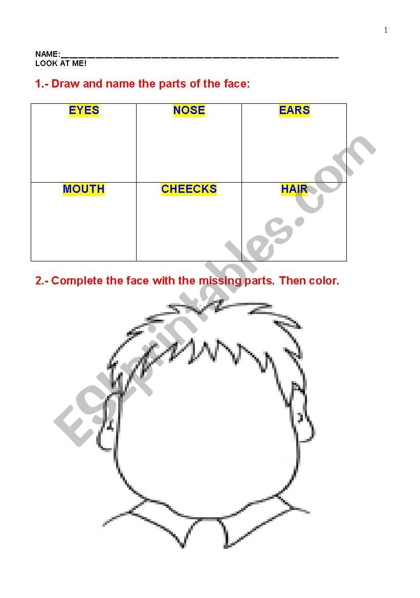 PARTS OF THE FACE worksheet