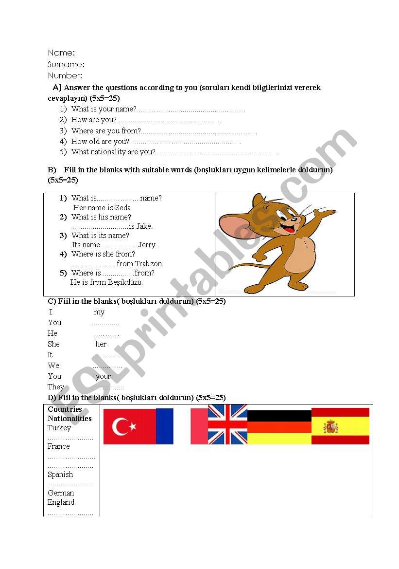 5th grade quiz worksheet