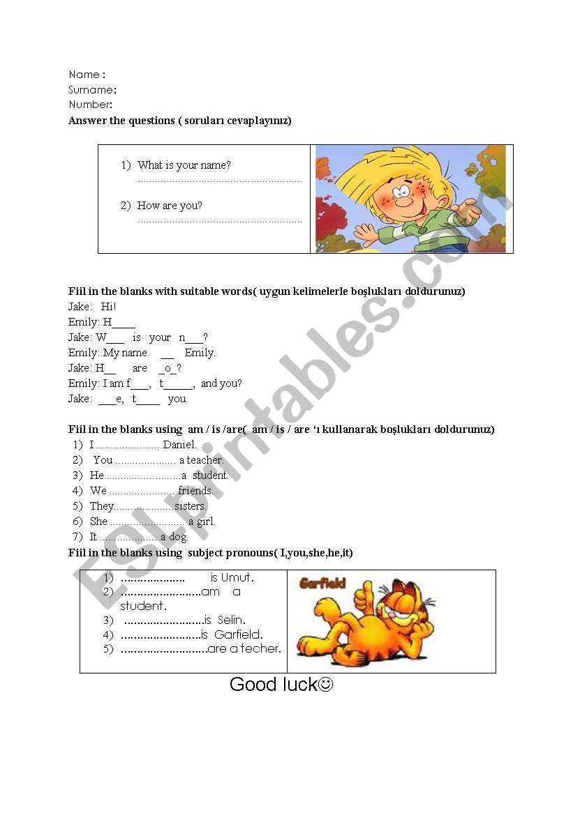 quiz worksheet