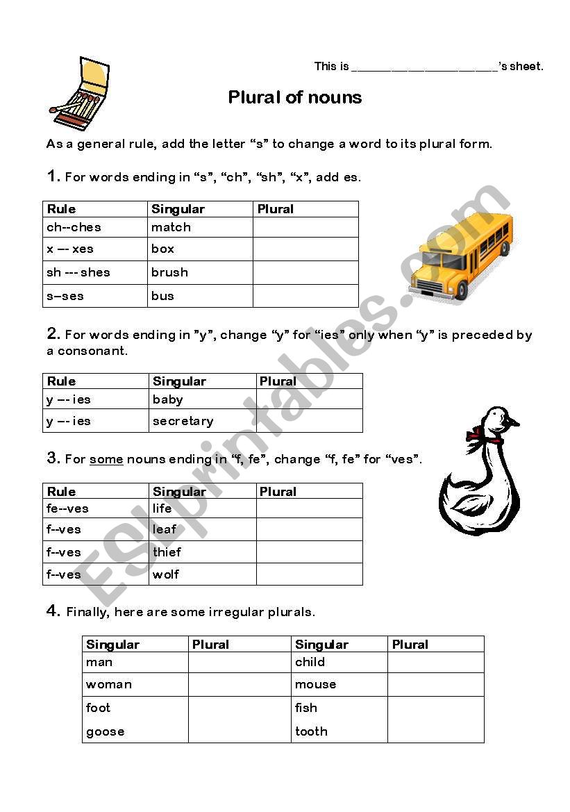 Plural of nouns worksheet