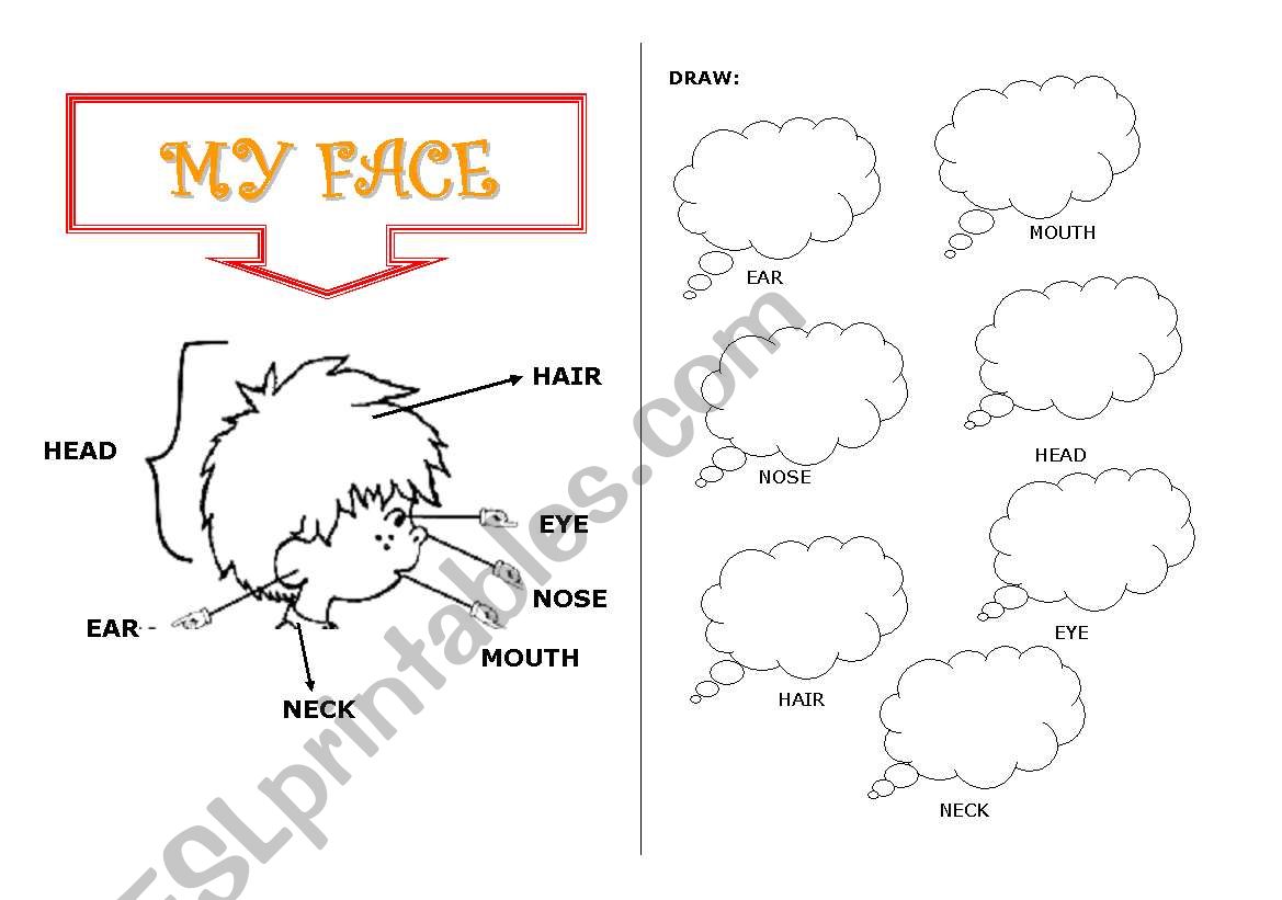 my face worksheet