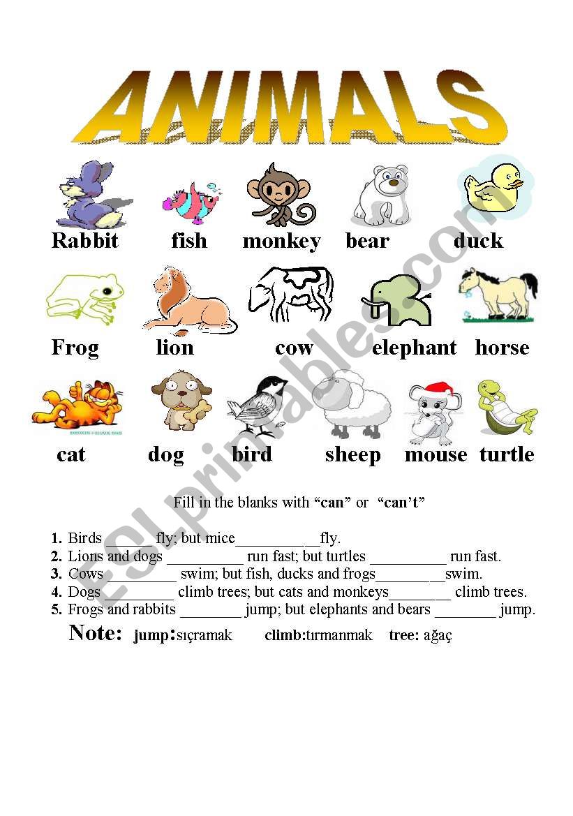 animals worksheet