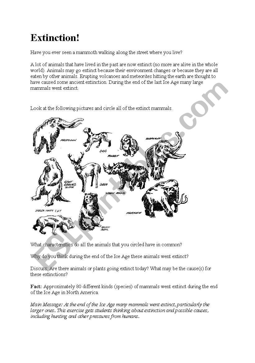 Extinction worksheet