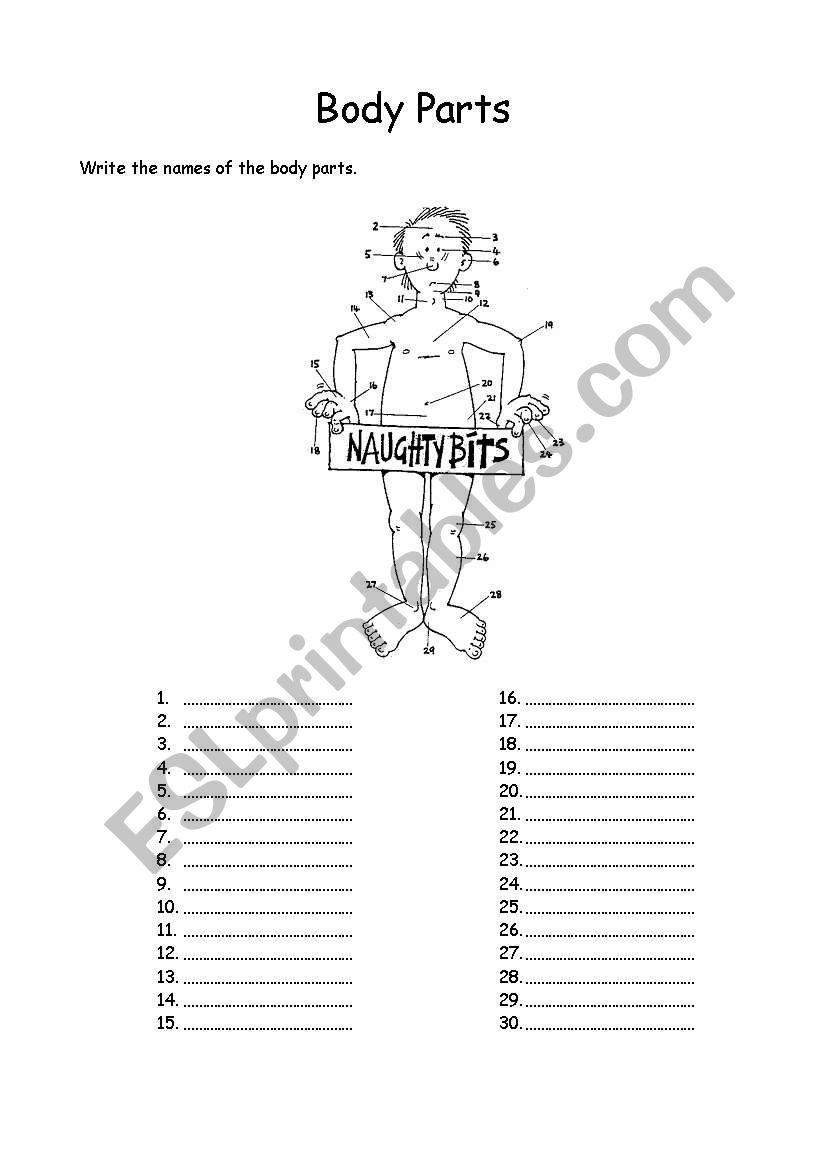 Body Parts  worksheet