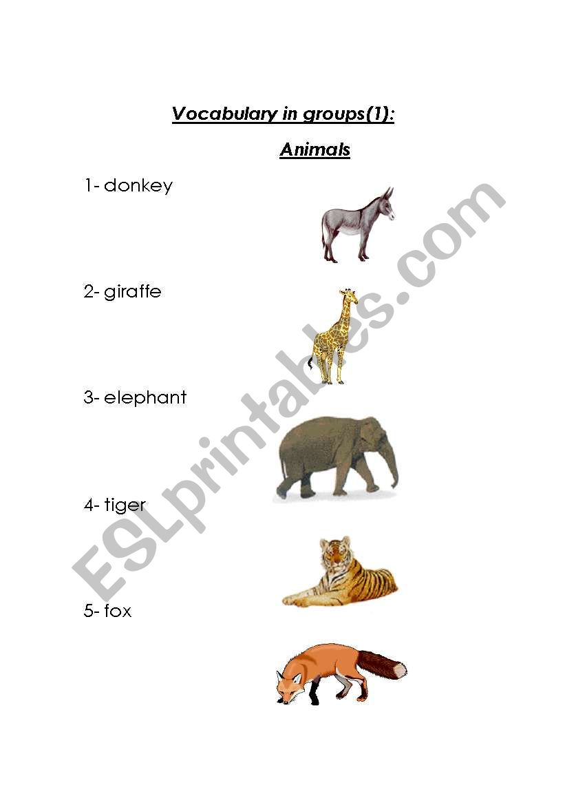 Vocabulary In Groups (1) : Animals