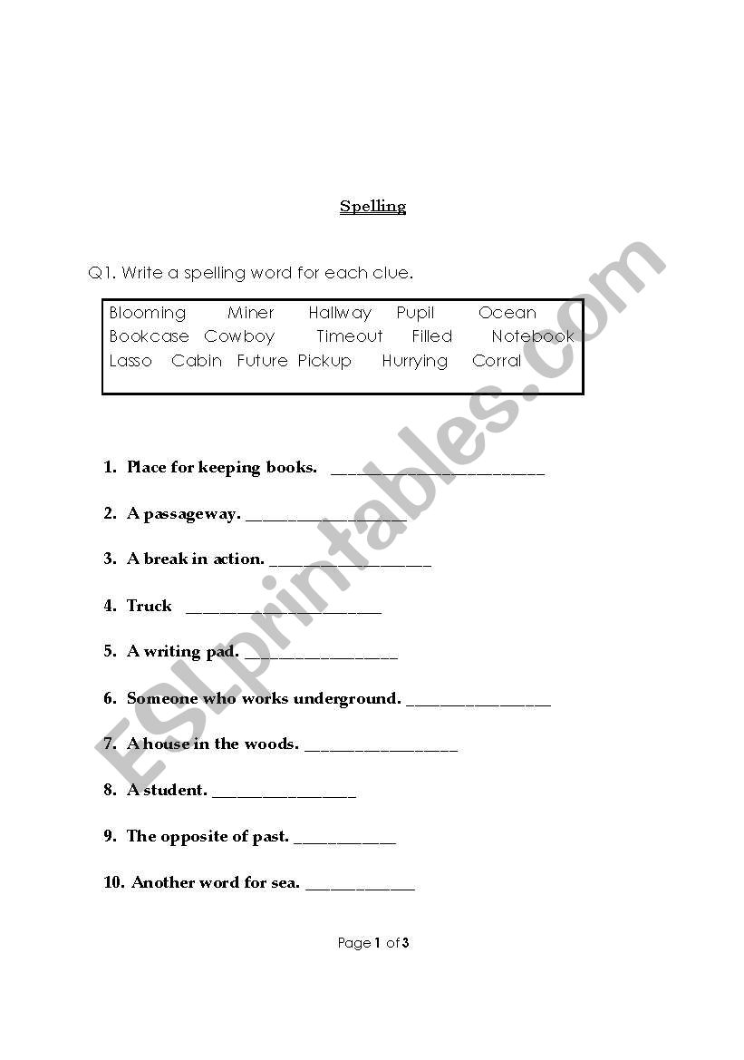 spelling worksheet worksheet