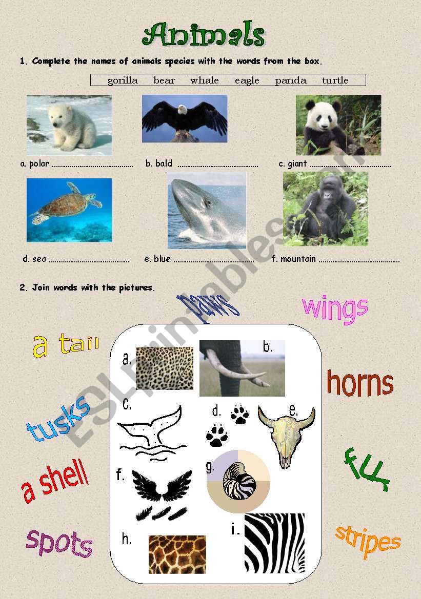 ANIMALS in danger worksheet