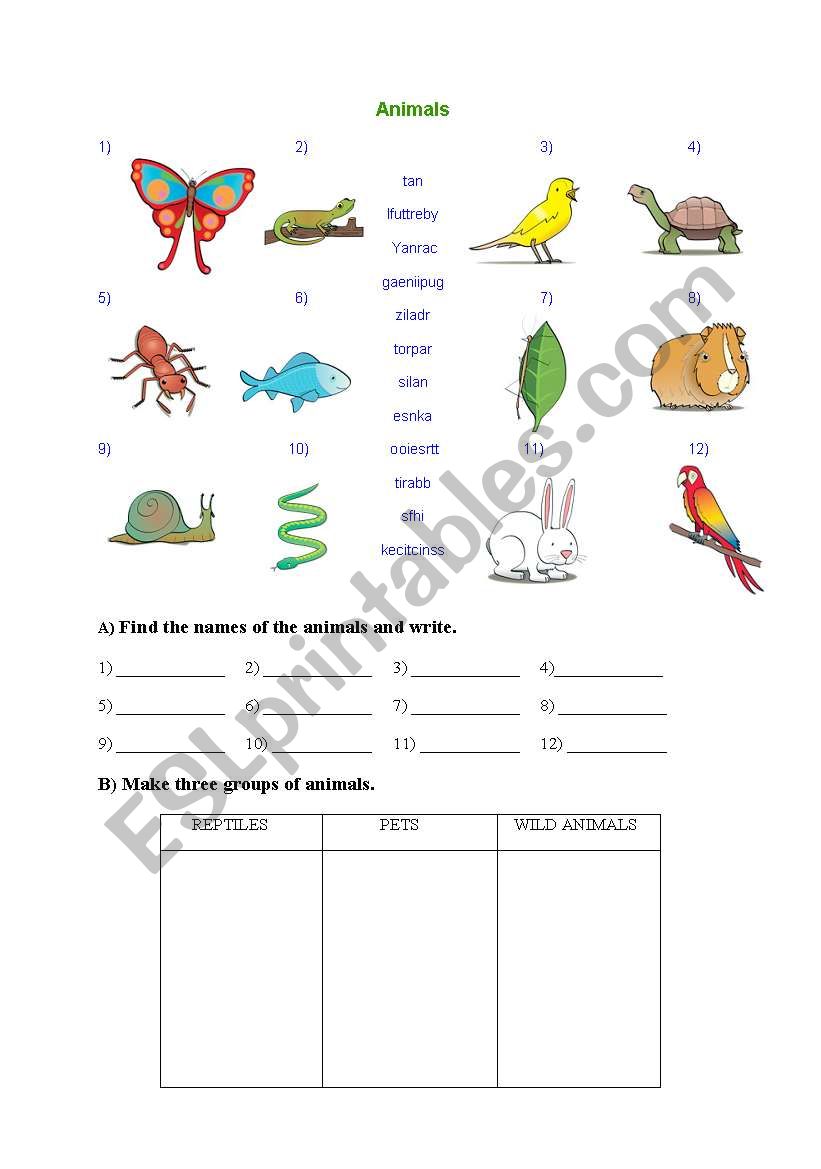 animals worksheet