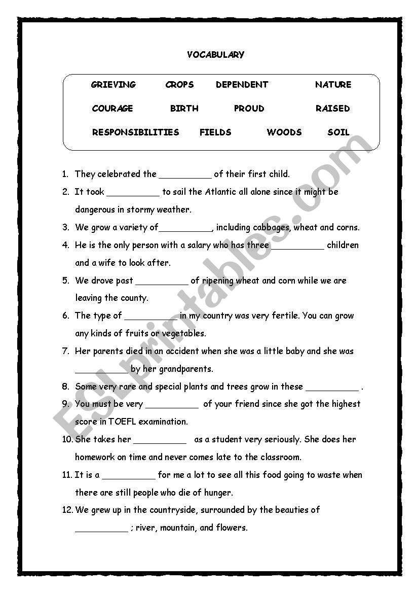 vocabulary worksheet