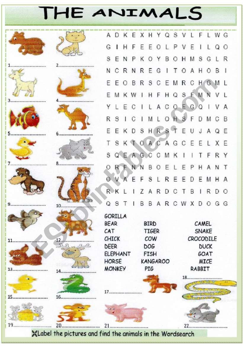 Find the animals worksheet