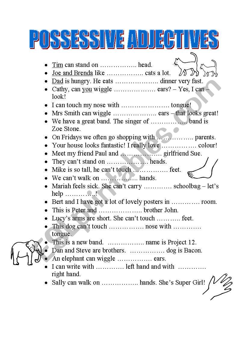 Possessive Adjectives worksheet