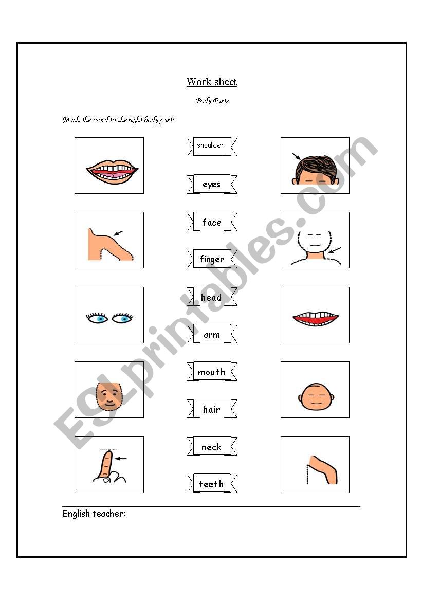 body parts worksheet