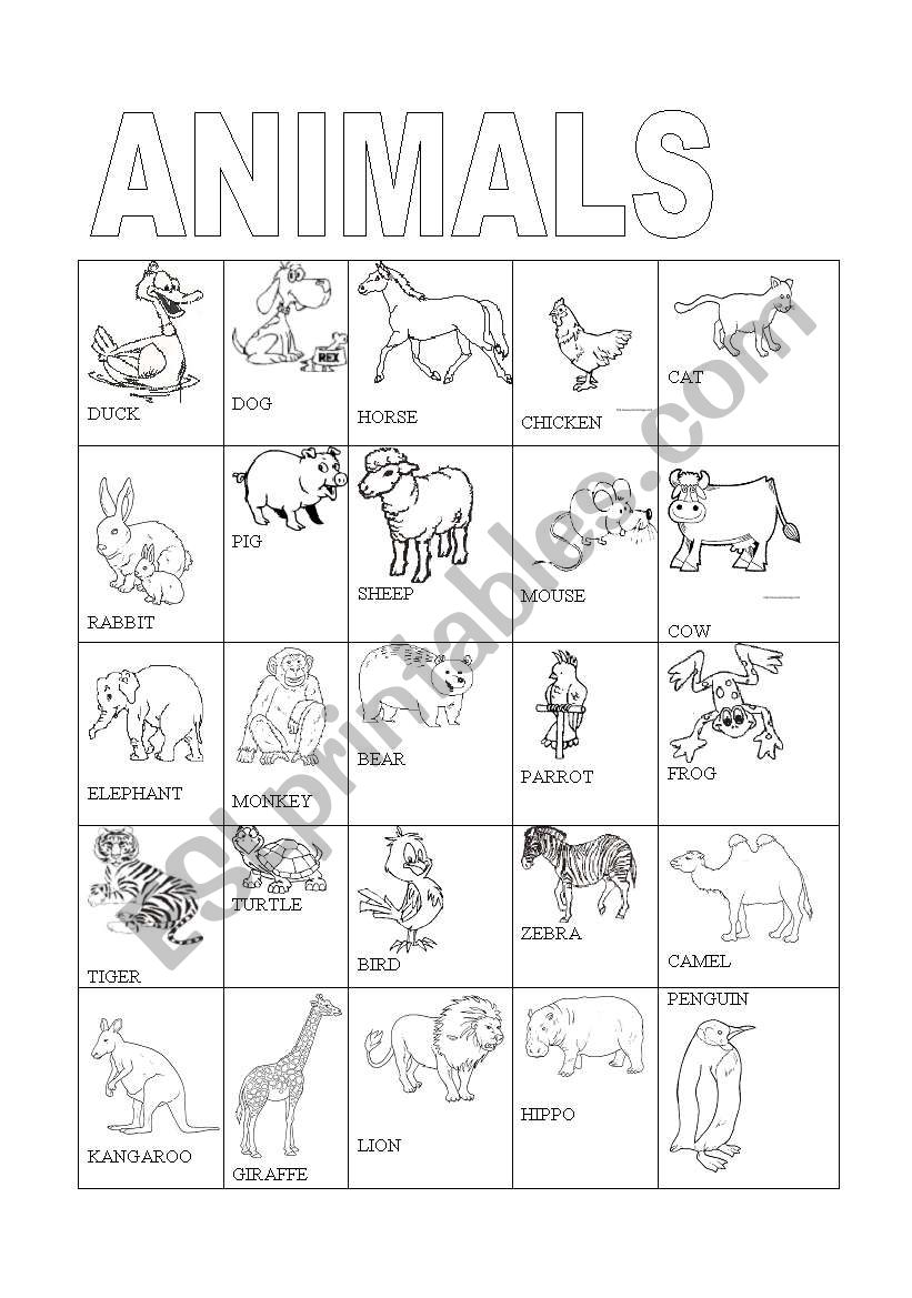 animal pictionary 1/2 worksheet