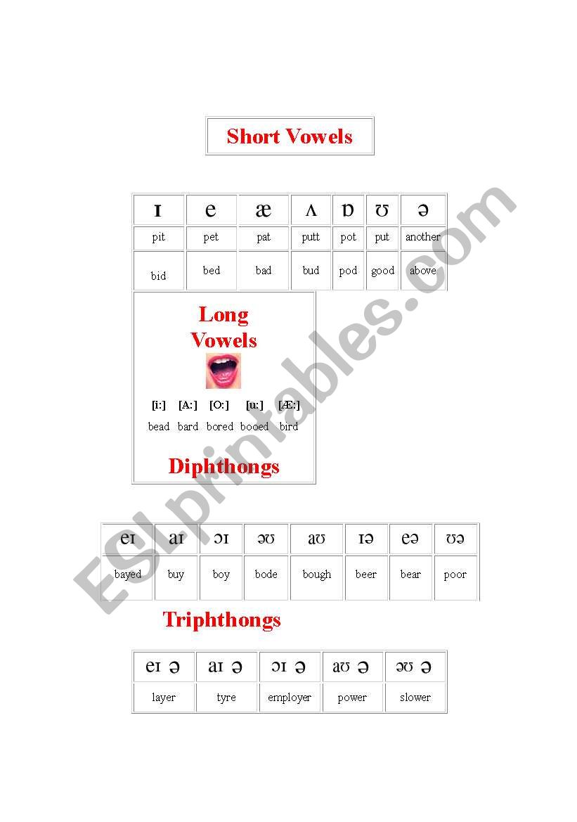 english vowels worksheet