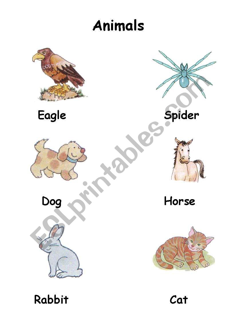 The animals worksheet