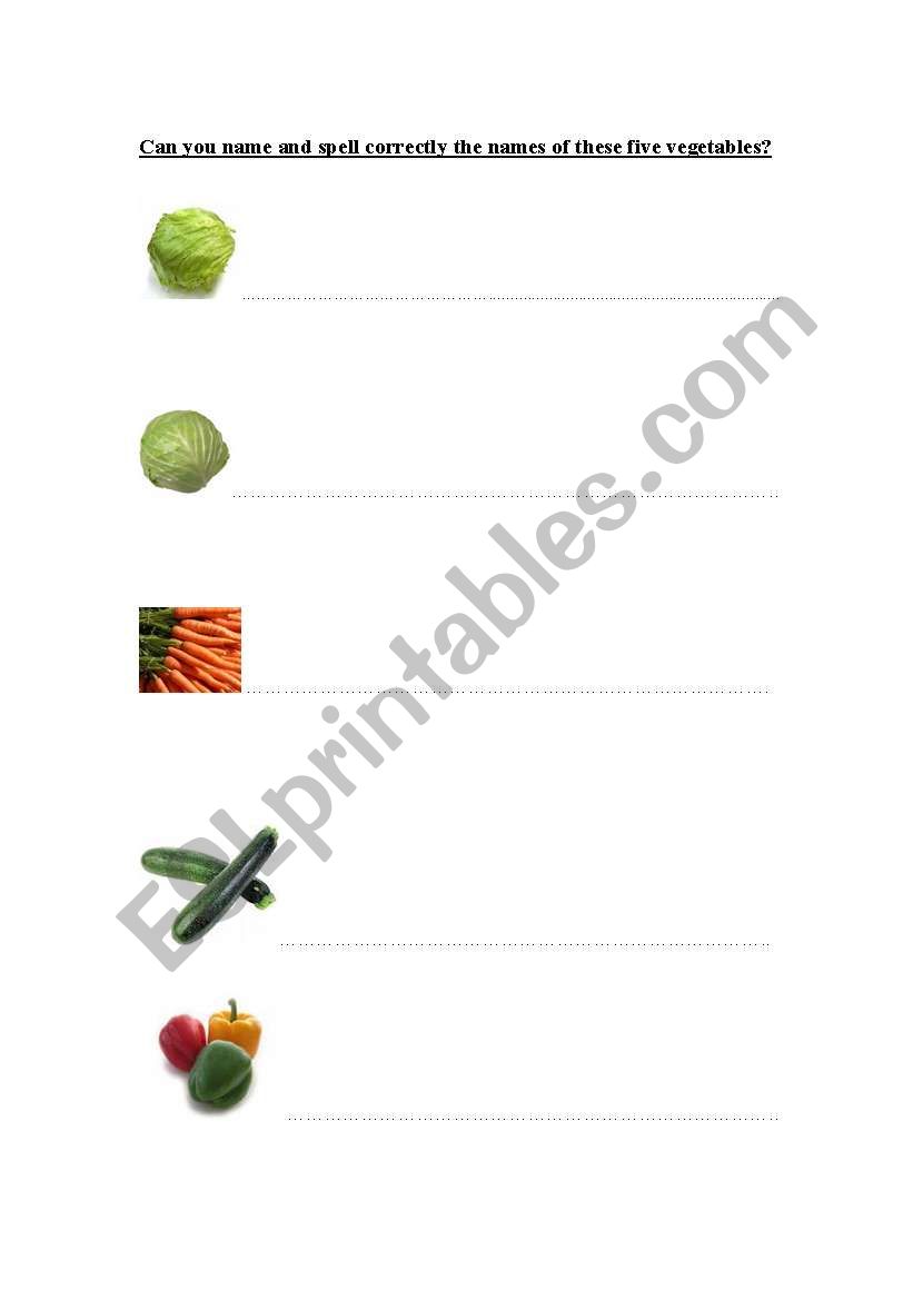 food worksheet