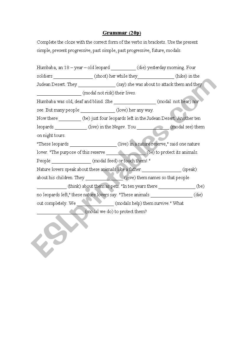 grammar excersice worksheet