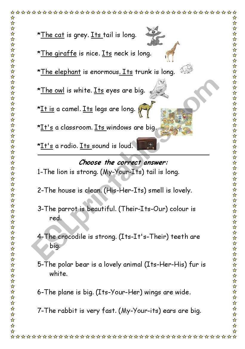 possessive adjective(its) worksheet