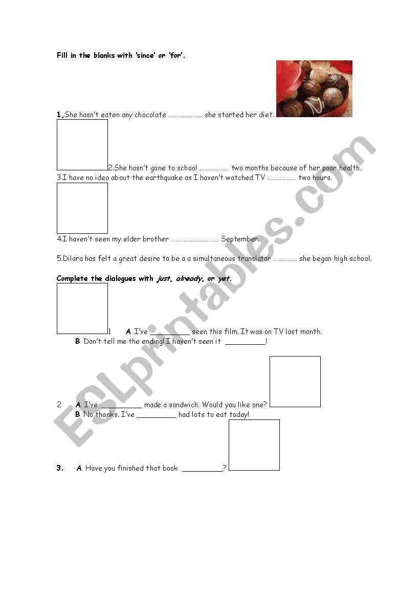 present perfect worksheet